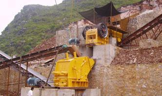 hammer crusher for gold ore dressing india